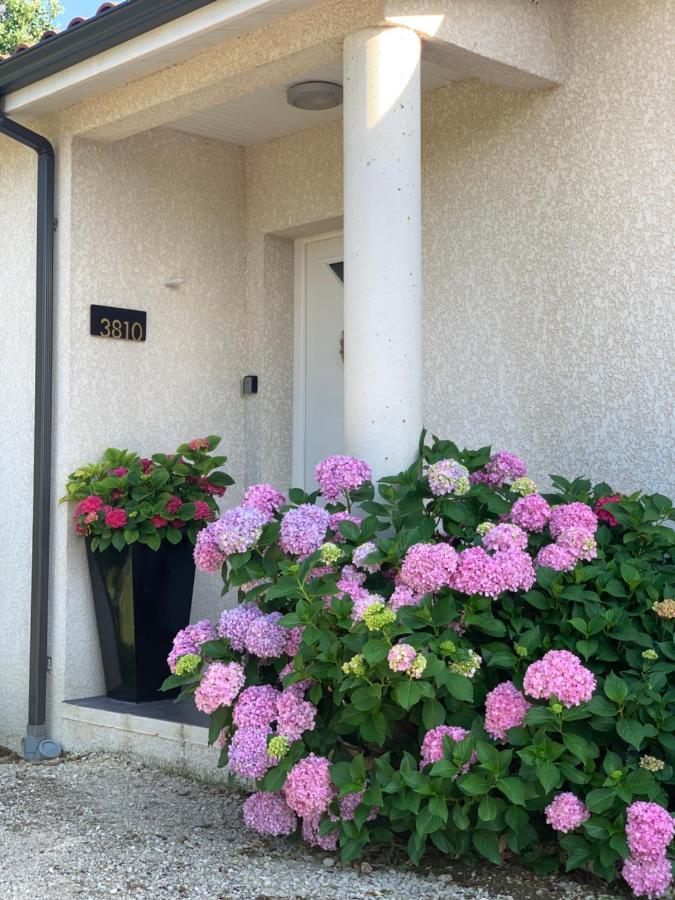 La Maison D'Isabel Montauban Eksteriør bilde